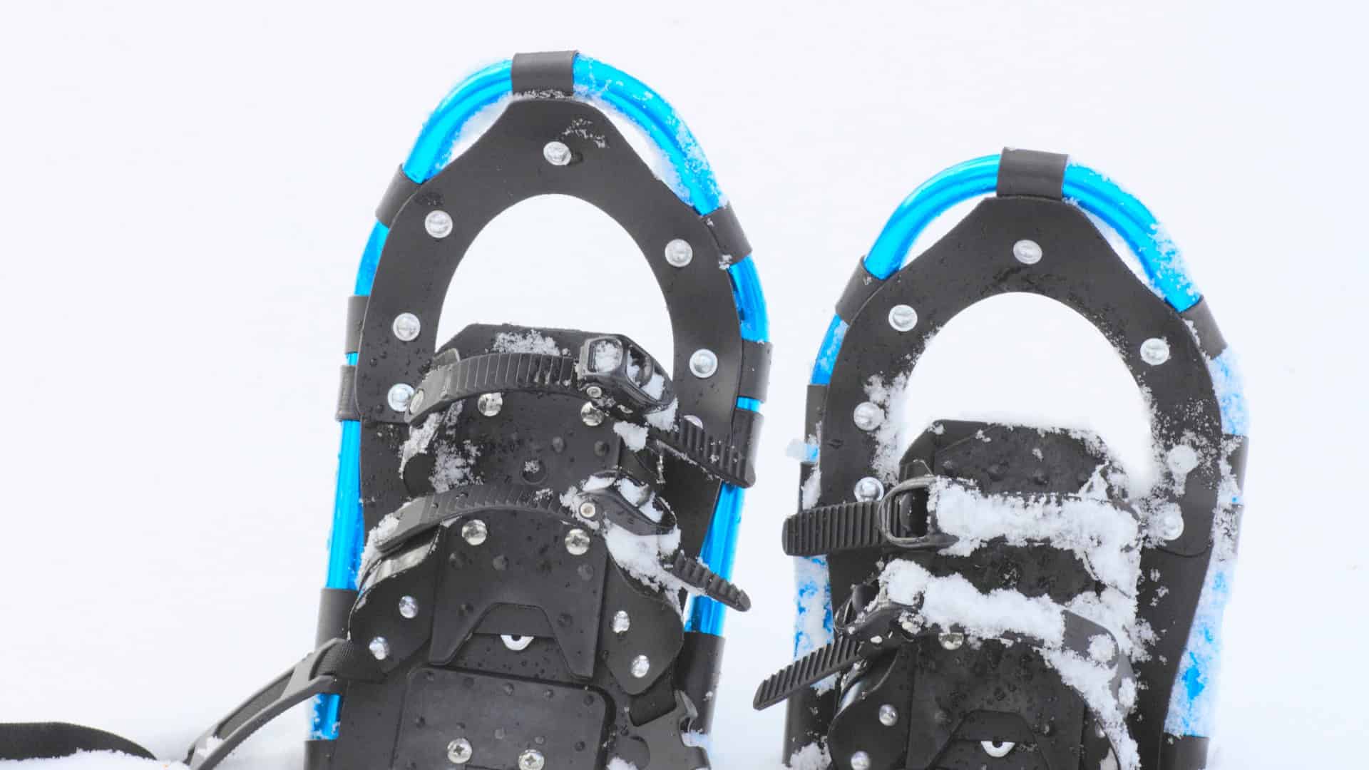 snow shoes in snow